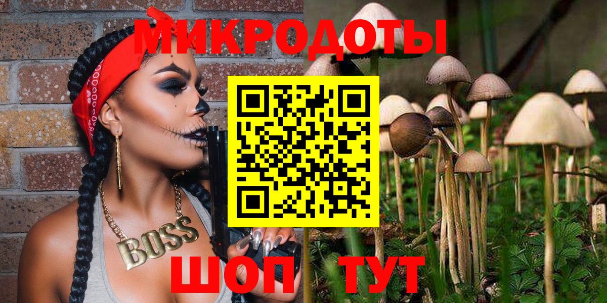 Реутов  Галлюциногенные грибы MAGIC MUSHROOMS  Псилоцибиновые грибы Psilocybe  Вход с VPN 